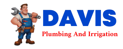 Trusted plumber in IONA